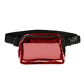 Clear Belt Bag