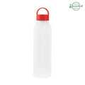 22 Oz. Darcy Recycled Aluminum Bottle