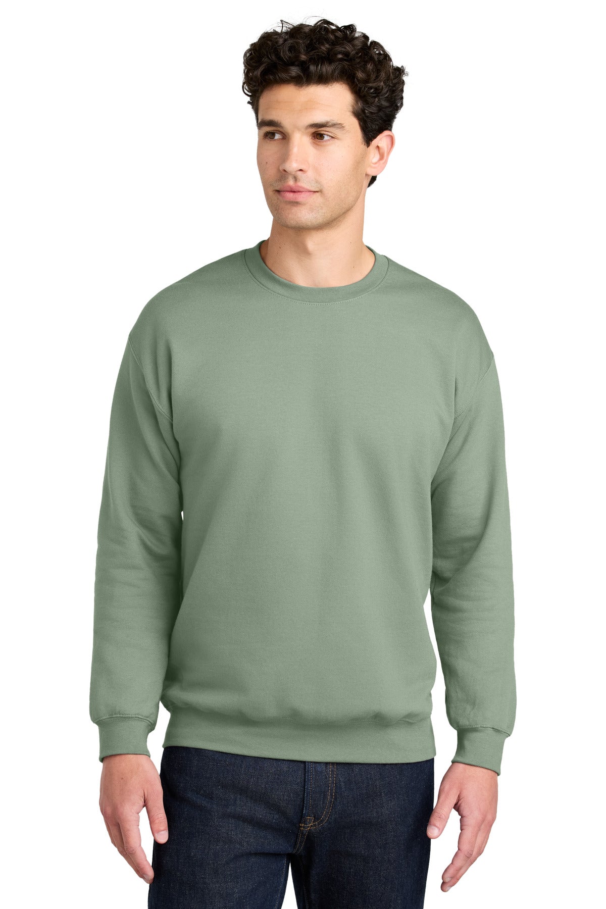 Gildan Softstyle Crewneck Sweatshirt