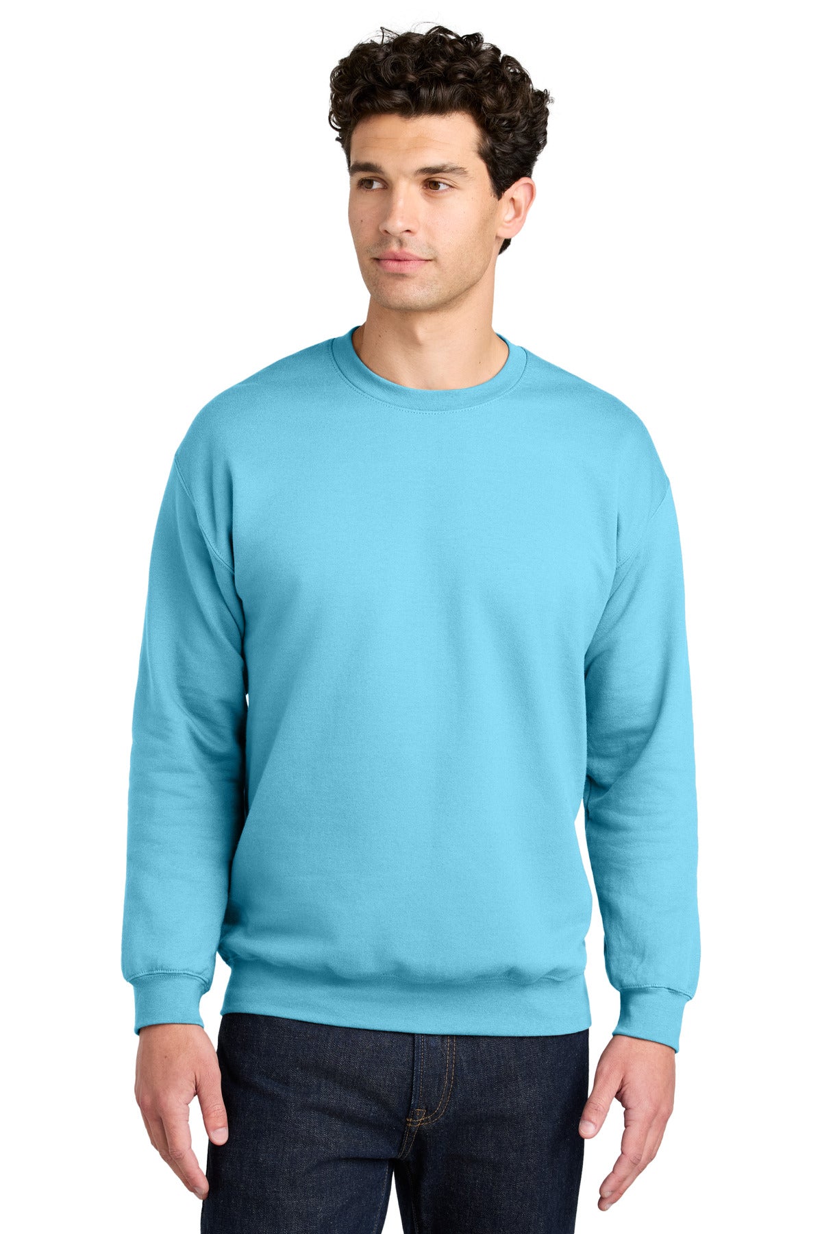 Gildan Softstyle Crewneck Sweatshirt